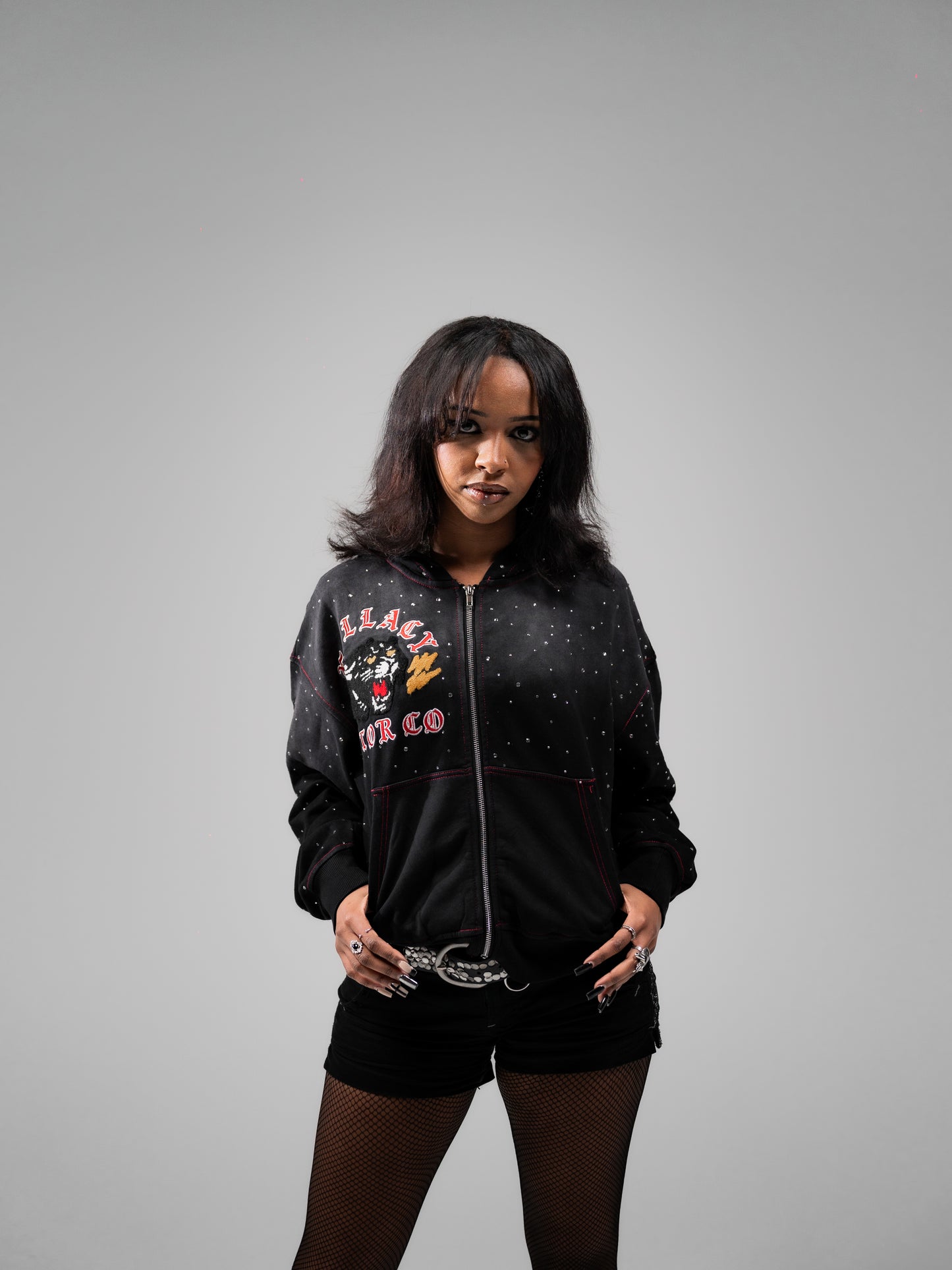 FALLACY Panther Motor Co Zip up