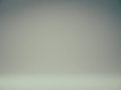 Eagle Long Sleeve